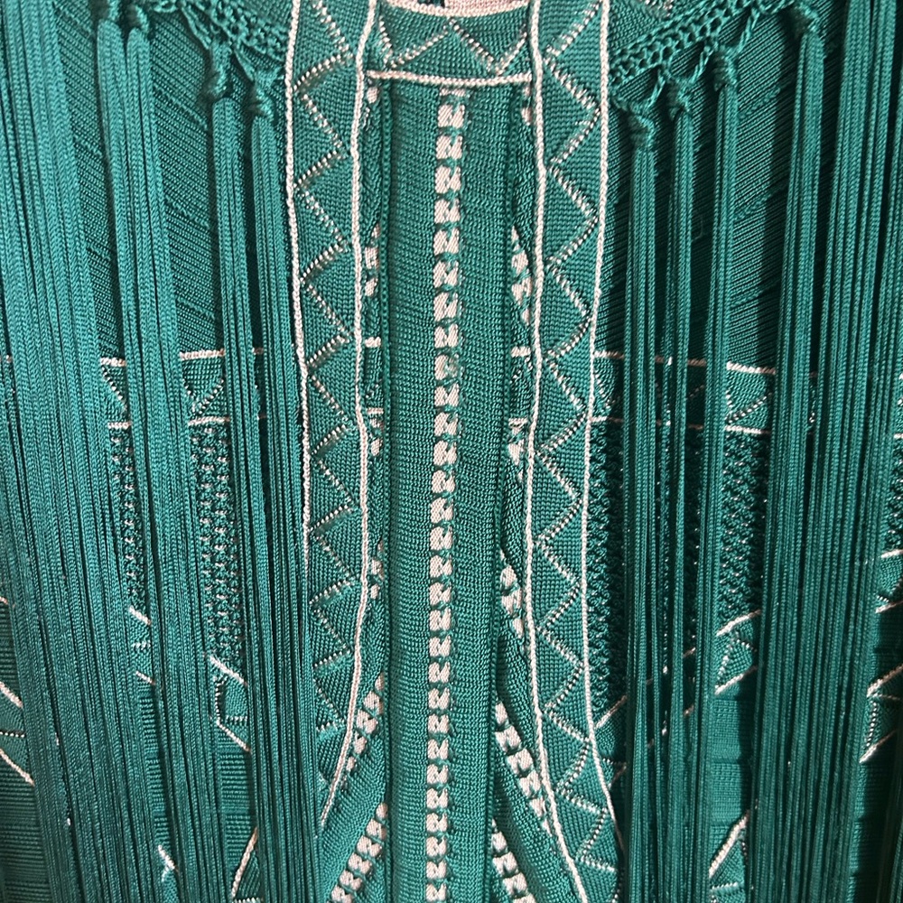 Herve Leger Chic Green Fringe Dress - Picture 4 of 6